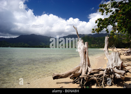 Plage isolée à Kualoa Park Banque D'Images