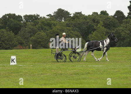 Un concurrent à un essai de conduite à cheval - Borde Hill, West Sussex. Banque D'Images