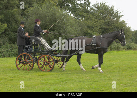 Un concurrent à un essai de conduite à cheval - Borde Hill, West Sussex. Banque D'Images