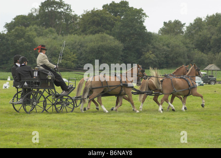 Un concurrent à un essai de conduite à cheval - Borde Hill, West Sussex. Banque D'Images