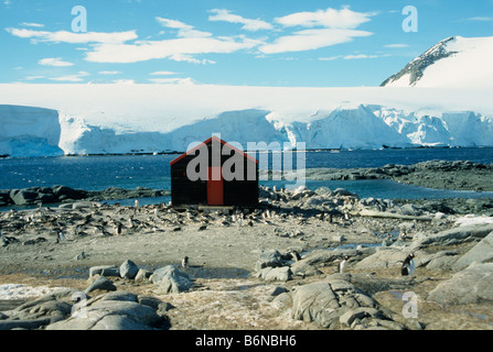 Le bateau maison de l'ancien British science base située à Port Lockroy, avec la péninsule Antarctique Manchots dans l'avant Banque D'Images