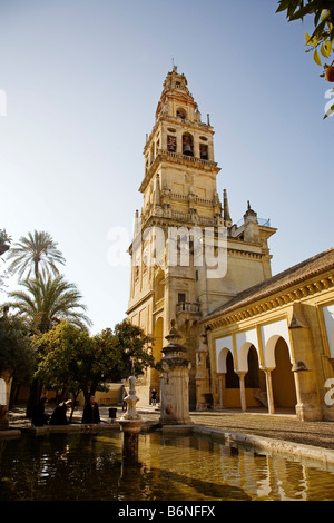 Minaret de la tour de la mosquée cathédrale cordoue andalousie espagne Torre del alminar de la Mezquita catedral y Patio de los Naranjos Banque D'Images