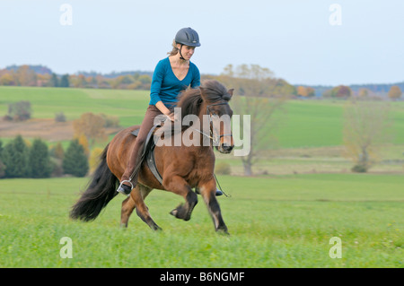 Jeune cavalier galopant sur le dos d'un cheval islandais' Banque D'Images