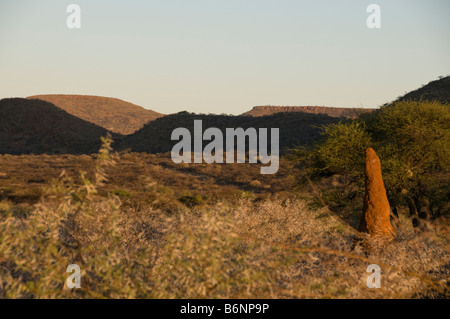 Okonjima, Wild fondation Africat, Namibie, Afrique SW Banque D'Images