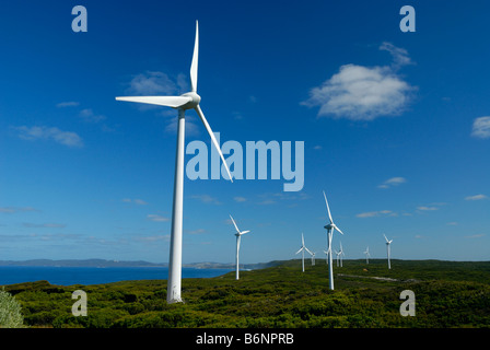 Ferme éolienne près d'Albany Western Australia Banque D'Images