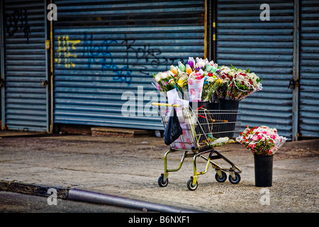 Fleurs à vendre dans votre panier sur une rue de la ville Banque D'Images