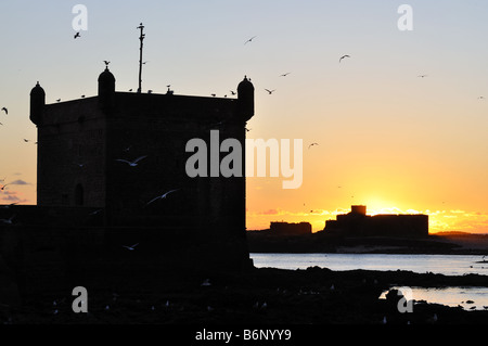 Coucher du soleil à Essaouira, Maroc Sud Banque D'Images