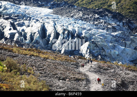 Face à la borne, Fox Glacier, côte ouest, Nouvelle-Zélande Banque D'Images