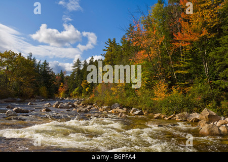 Swift River couleurs d'automne l'autoroute panoramique Kancamagus montagnes Blanches du New Hampshire New England USA États-Unis d'Amérique Banque D'Images