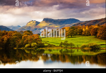 Vue d'automne sur Loughrigg Tarn Parc National de Lake District Cumbria England UK avec les Langdale Pikes dans la distance Banque D'Images