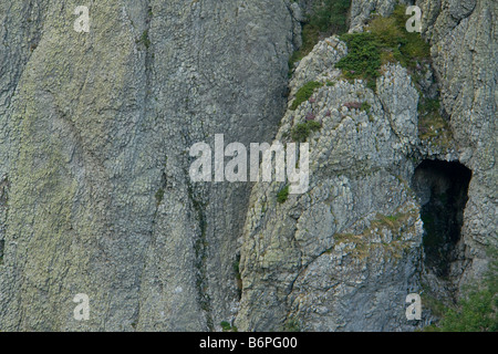 Dans l'Auvergne, France, Europe Banque D'Images