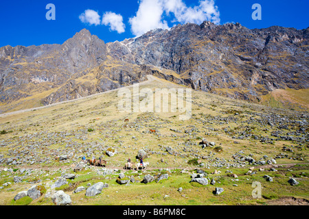 Sur le sentier dans les Andes Banque D'Images