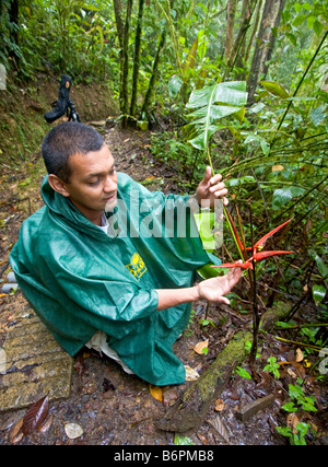 Guide affiche lobster claw flower pendant la randonnée dans la forêt tropicale du Costa Rica Banque D'Images