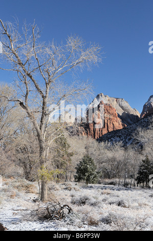 Première neige de la saison aux poussières le désert en début de matinée à Zion National Park en Utah Banque D'Images