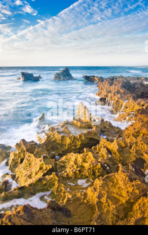 Les roches calcaires sur la côte de Perth à Trigg Beach. Banque D'Images