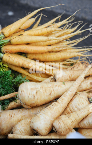 Le panais et carottes sur un étal de marché. Photo par Jim Holden. Banque D'Images