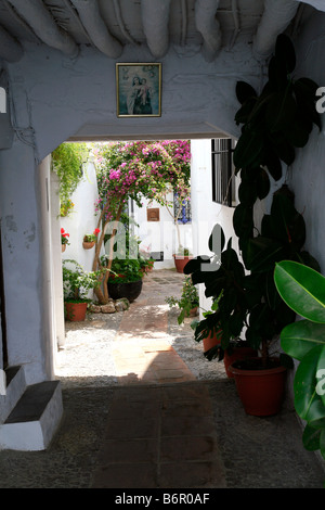 Entrée d'un jardin secret à Los Patios Festival, Festival Espagne Cordoue Patio Banque D'Images