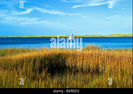 Bateau de pêche du homard dans la région de Nauset Harbour Orleans Cape Cod MA USA Banque D'Images