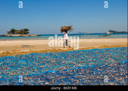 Près de la plage de Ngapali en Birmanie Myanmar Thandwe . Le sud de la province de Rakhaing State Banque D'Images