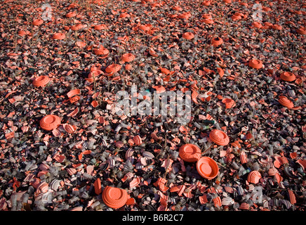 Morceaux de pigeons d'argile sur le terrain Banque D'Images