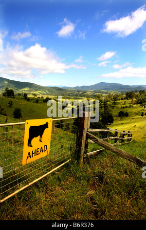 Pays d'Australie en Nouvelle Galles du Sud, près de Gloucester Banque D'Images