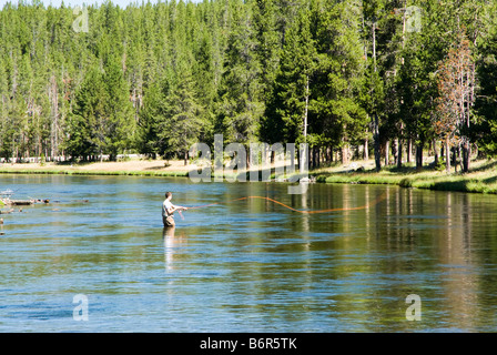 Un pêcheur La pêche à la mouche sur la rivière Madison dans le Parc National de Yellowstone Banque D'Images