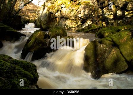 Une cascade sur la rivière Marteg à quelques pas de la centre de visiteurs à Gilfach Nature Reservs Radnorshire Banque D'Images