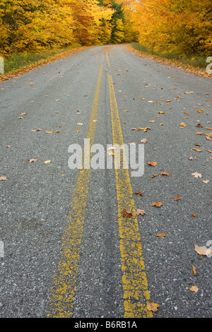 Route sinueuse en automne dans la forêt nationale d'Hiawatha, Michigan, USA Banque D'Images