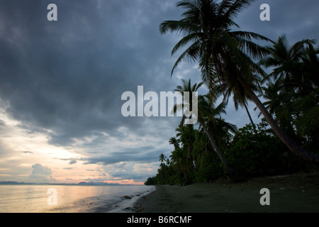 Déserte, bordée de palmiers tropical beach sur l'île de Leyte aux Philippines. Banque D'Images