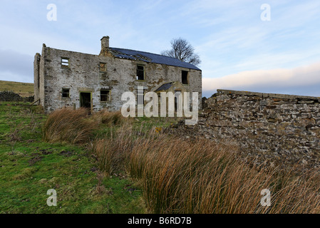 Hill Farm abandonnés dans North Pennines Banque D'Images