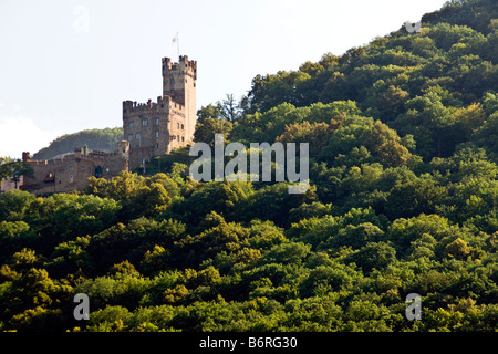 Château Sooneck boisées donnent sur le Rhin près de Bacharach Banque D'Images