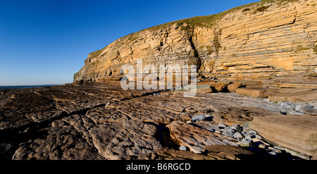 Une vue panoramique sur les falaises de grès de Dunraven Bay dans le sud du Pays de Galles. Banque D'Images