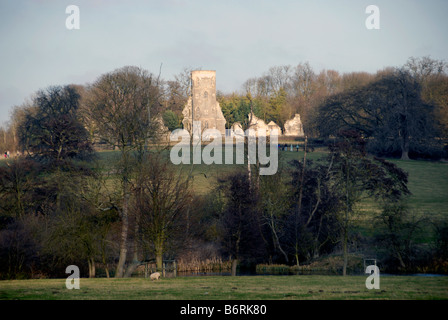 Tour gothique de folie au National Trust Wimpole House, España Banque D'Images