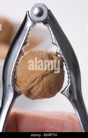 Close up on nut cracker et noyer Banque D'Images