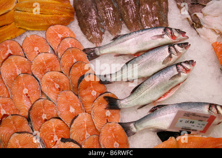 Le poisson frais sur la glace dans un supermarché ; truite entière et filets de saumon Banque D'Images
