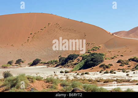 Marcher sur des dunes de sable de Sossusvlei dans le désert de Namib Namibie Namib Naukluft National Park Banque D'Images