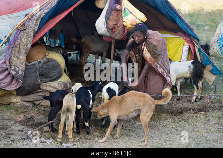 Les indiens très pauvres en dehors de leur tente accueil déliement des chèvres de la famille. L'Andhra Pradesh, Inde Banque D'Images