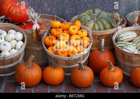 Citrouilles et courges d'automne colorés dans des paniers de légumes pour la vente Banque D'Images