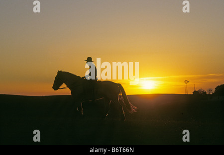 USA TEXAS une gamme cowboy rides après un troupeau de bovins au coucher du soleil sur un petit ranch dans l'ouest du Texas Banque D'Images