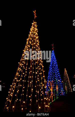 Les arbres de Noël trois couleurs deux feux blancs le feu bleu nuit de l'arbre de Noël fond sombre dramatique Banque D'Images