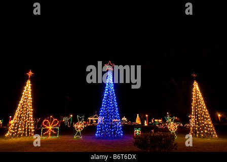 Les arbres de Noël trois couleurs deux feux blancs le feu bleu nuit de l'arbre de Noël fond sombre dramatique Banque D'Images