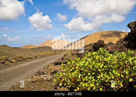 Caldera Blanca, Timanfaya, Lanzarote, îles Canaries, Espagne Banque D'Images