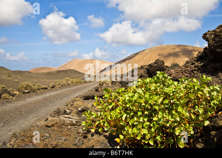 Caldera Blanca, Timanfaya, Lanzarote, îles Canaries, Espagne Banque D'Images