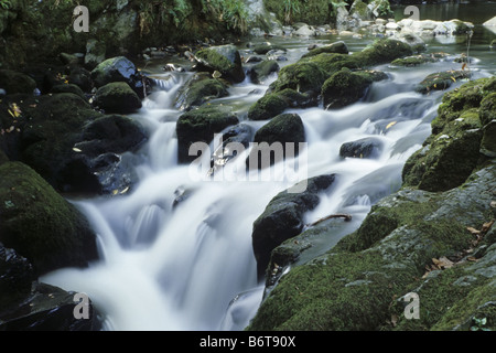 L'eau en continu, Tollymore forest park, Newcastle, Fr, N.Ireland Banque D'Images