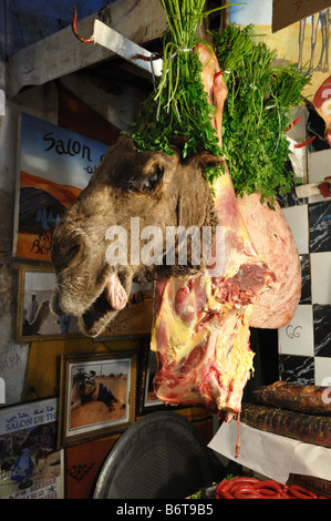 Tête de chameau à vendre à Fes, Maroc Banque D'Images