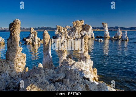 Spires à South Tufa salon lever du soleil Lac Mono en Californie USA Banque D'Images