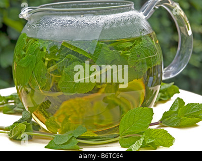 Pot en verre de thé à la menthe avec des feuilles de menthe verte fraîche Piscine eau chaude im Banque D'Images