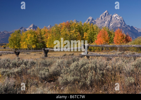 Le Grand Teton et couleurs d'automne au-dessus de un dollar et clôture proche du Triangle X Ranch à Grand Teton National Park Wyoming Banque D'Images