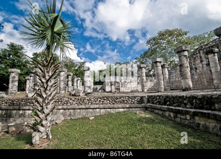 CHICHEN ITZA, Mexique - ruines mayas anciennes à Chichen Itza, Yucatan, Mexique. Chichen Itza, situé sur la péninsule du Yucatan au Mexique, est un site archéologique important présentant la riche histoire et les connaissances scientifiques avancées de la civilisation maya antique. Il est plus connu pour la Pyramide Kukulkan, ou « El Castillo », une structure à quatre côtés avec 91 marches de chaque côté, culminant en une seule étape au sommet pour représenter les 365 jours de l'année solaire. Banque D'Images