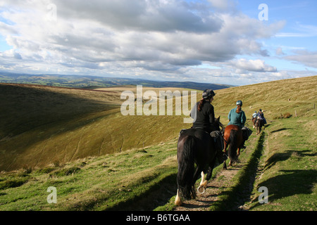 Trois chevaux et cavaliers femelle sur la lande à distance dans la voie de la lumière du soir, au cours du Cambrien Trans horse trek voyage Mid-Wales Banque D'Images